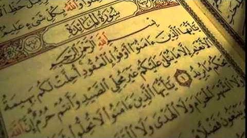 سلمان العتيبي سورة المائده