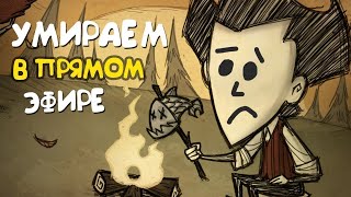 Выживаем И Строим Город В Донт Старв Тугезер: Don't Starve Together (Stream)