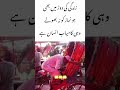 Faith in Motion – Prayer at Its Peak #islamicvideo #islamicshorts #viralvideo #trending Allah