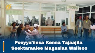 Fooyyaiinsa Kenna Tajaajila Seektaraalee Magaalaa Walisoo