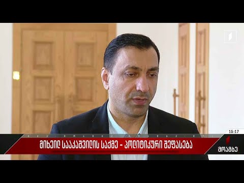 მიხეილ სააკაშვილის საქმე - პოლიტიკური შეფასება