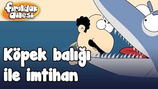 Sabrinin Köpek Balığı İle İmtihanı - Fırıldak Ailesi 15
