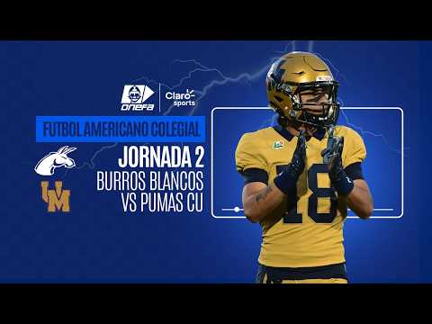 Burros Blancos vs Pumas CU, en vivo | Semana 2 | Liga Mayor ONEFA 2026