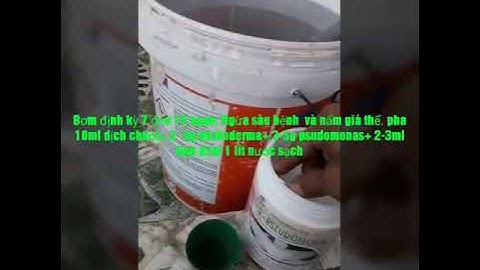 Sử dụng dịch chuối( Nguyễn quốc Tư) bơm hoa lan