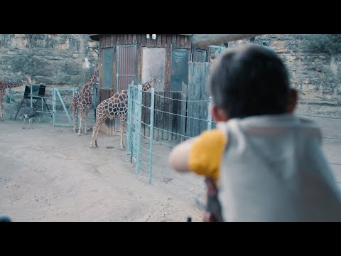 San Antonio Zoo