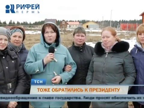 Многодетные семьи Перми попросили у Владимира Путина дороги и газ
