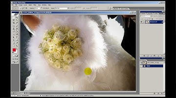 Photoshop Selection Tools (Part 2)