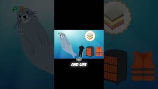 Why Seals Are Chubby_ It's Functional Fashion! | Animal Science Bites