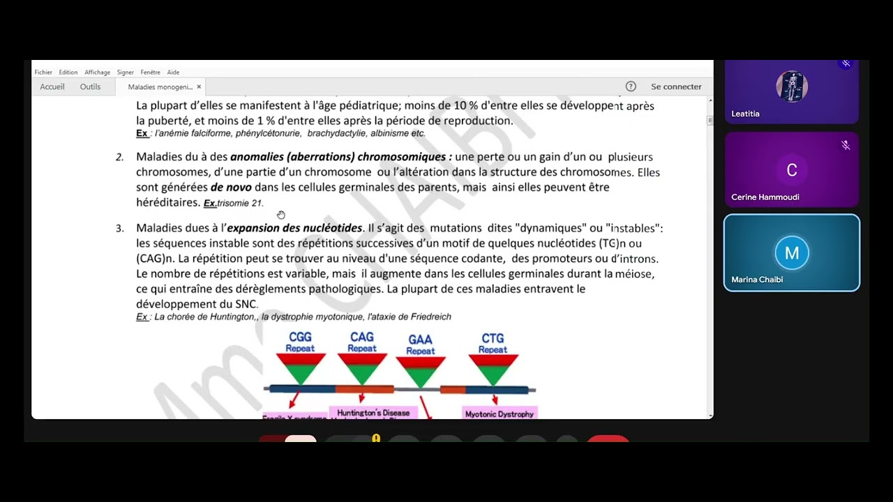 GÉNÉTIQUE : Introduction à la génétique humaine.
