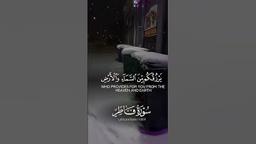 أكتب شيء تؤجر عليه ❤️ |تلاوة مؤثرة جدًا بصوت ماهر المعيقلي |#قرآن