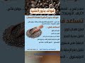 فوائد بذور الشيا تغذية صحية فوائد فوائد بذور الشيا تغذية صحية فوائد
