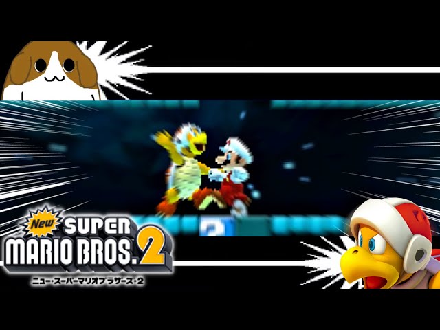 目が合う瞬間、刹那の見切り『New スーパーマリオブラザーズ2』♯17