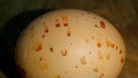 Печёные яйца, как правильно приготовить  в духовке. Яйца которые ели все, но сейчас забыли