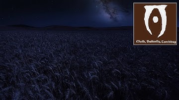 4K HD - Skyrim Music and Ambience:  Moth, Butterfly, and Torchbug Extended |  1 Hour