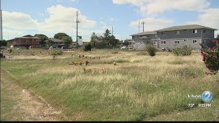Sunset Memorial Park bill to go to governor to sign