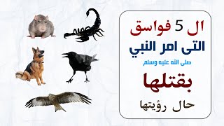 ما هي الفواسق الخمس؟ ولماذا خصت بالقتل دون غيرها؟