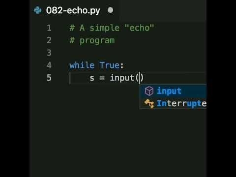 A combination of input() and print() in the infinite loop gives you a ...