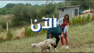 كل شيء لأ… إلا الطلاق #طلقني #دينا_الشربيني #كريم_محمود_عبدالعزيز