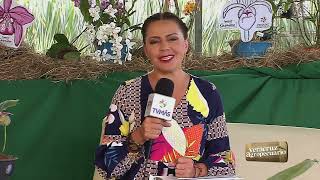 Veracruz Agropecuario  Festival Internacional de la Orquídea