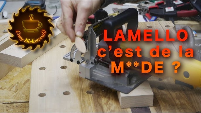 Lamelleuses - Fiche pratique - Le Parisien