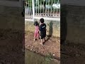 #viral #fypシ #kebunbinatang