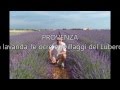 PROVENZA    la lavanda, le ocre e i villaggi del Luberon