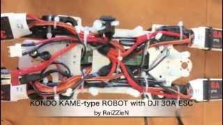 All parts of Transform Quadcopter Robot