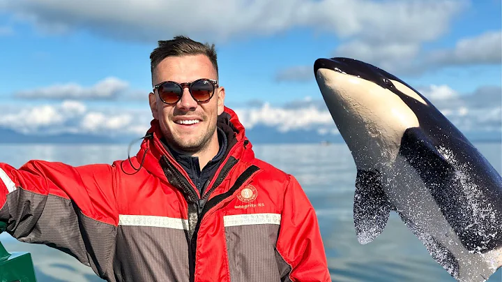 Mind Blowing Whale Watching in Vancouver thumbnail