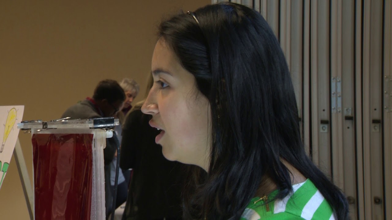 Algae as clean energy