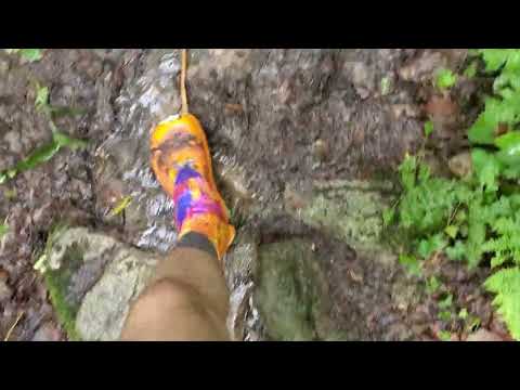 Hiking the Appalachian Trail with David Firari continued 