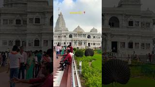 Prem Mandir 🙌! Vrindavan 😍#shorts #premmandir #vrindavan #viral #krishna