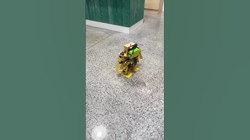 Prototyping a Walking Robot: Servo Motor Gait Control.