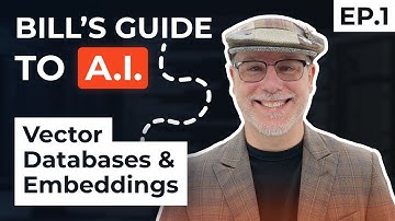 Exploring Vector Databases and Embeddings in A.I