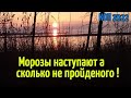 КОП 2022.Морозы наступают а сколько не пройденного!