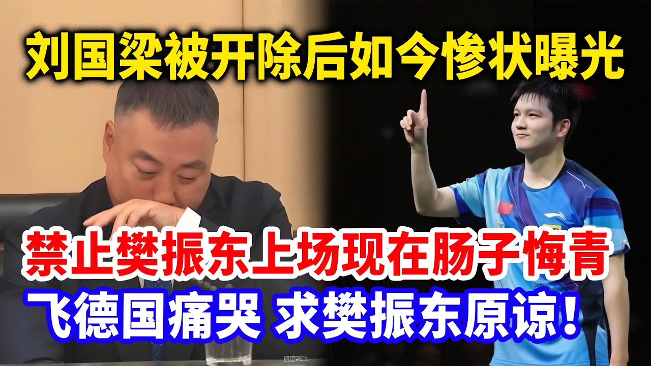刘国梁被开除后，如今惨状曝光！曾经禁止樊振东上场比赛，现在肠子悔青，飞德国痛哭流涕，求樊振东原谅。#樊振东 #樊振东德甲 #刘国梁