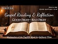 Today's Catholic Mass Gospel and Reflection - Wednesday, June 26, 2024 - Matthew 7:15-20