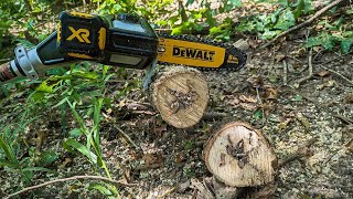 Dewalt Pole Saw Review Replace Your Gas Pole Saw