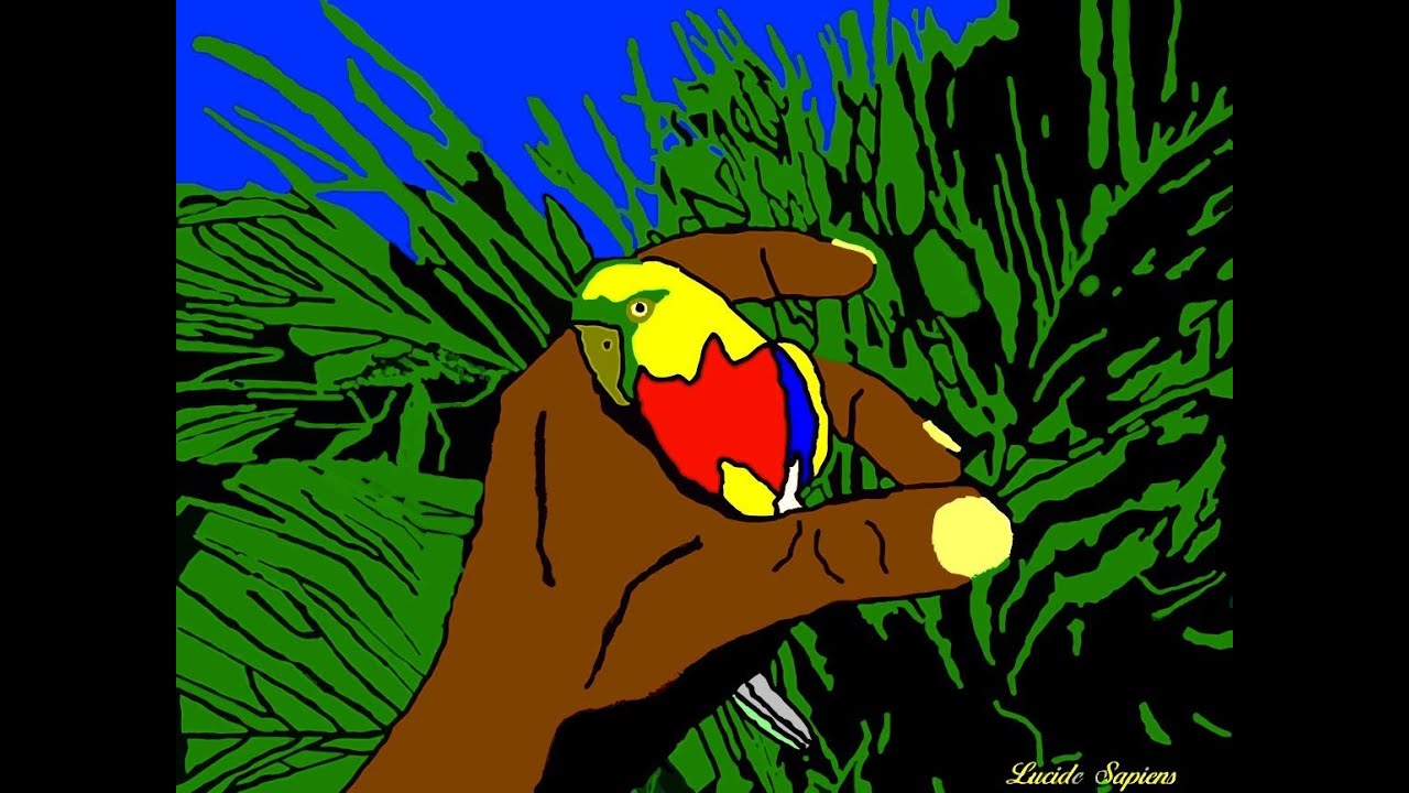Expressions Creoles Martiniquaises N 1 1kcreator Youtube
