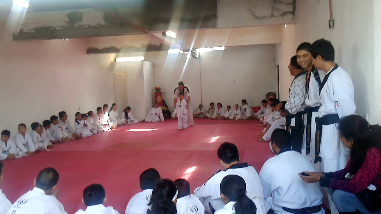 Alex En Taekwondo Youtube 