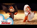 A Nutty Halloween 🎃 | Chip 'N Dale's Nutty Tales | Disney Junior