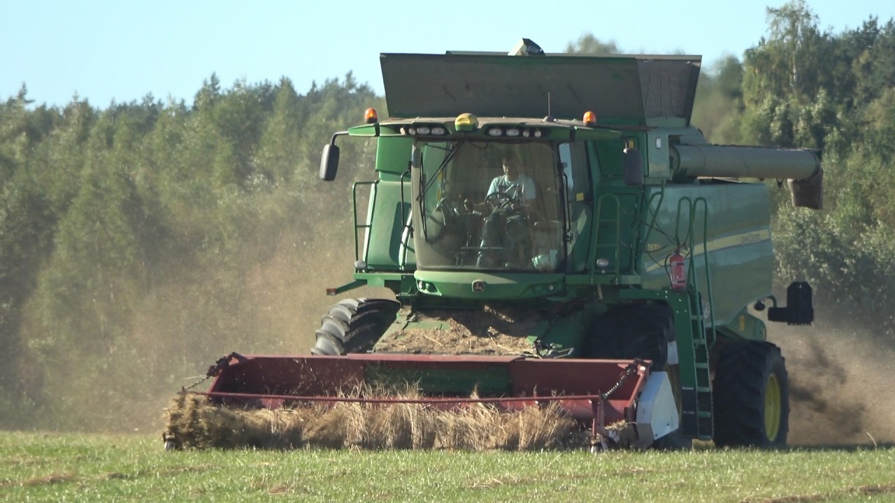Jesienne żniwa po dożynkach w Gospodarstwie Cudem się pojawiły warunki