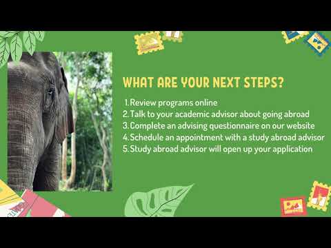 Study Abroad 101: Timeline and Next Steps