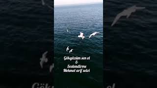 Gök Yüzüm Sen Ol & Resimi