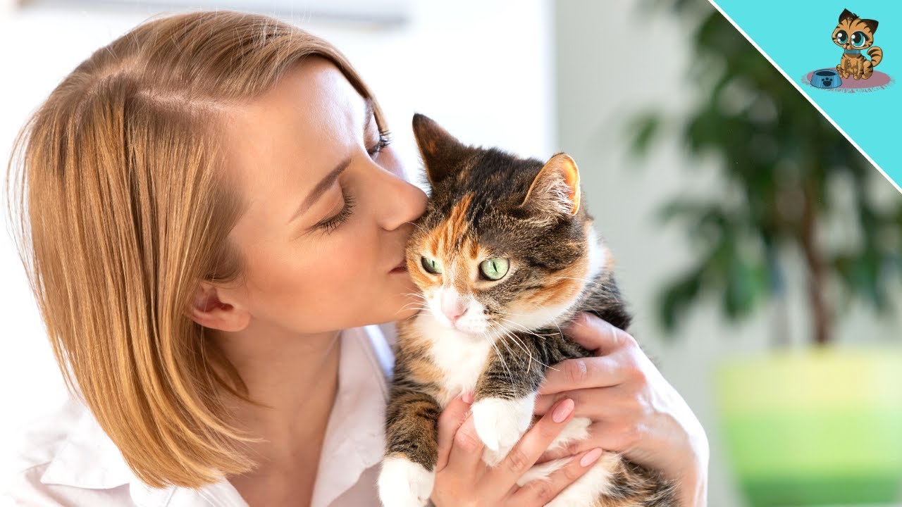 DAS denkt deine Katze, wenn du sie KÜSST! - YouTube