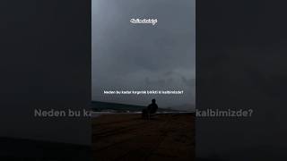 Neden Bu Kadar Kırgınlık Birikti Ki Kalbimizde? Öz Şam