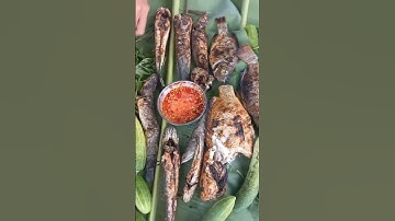 Ca lóc nướng rôm đặc sản của người miền Tây