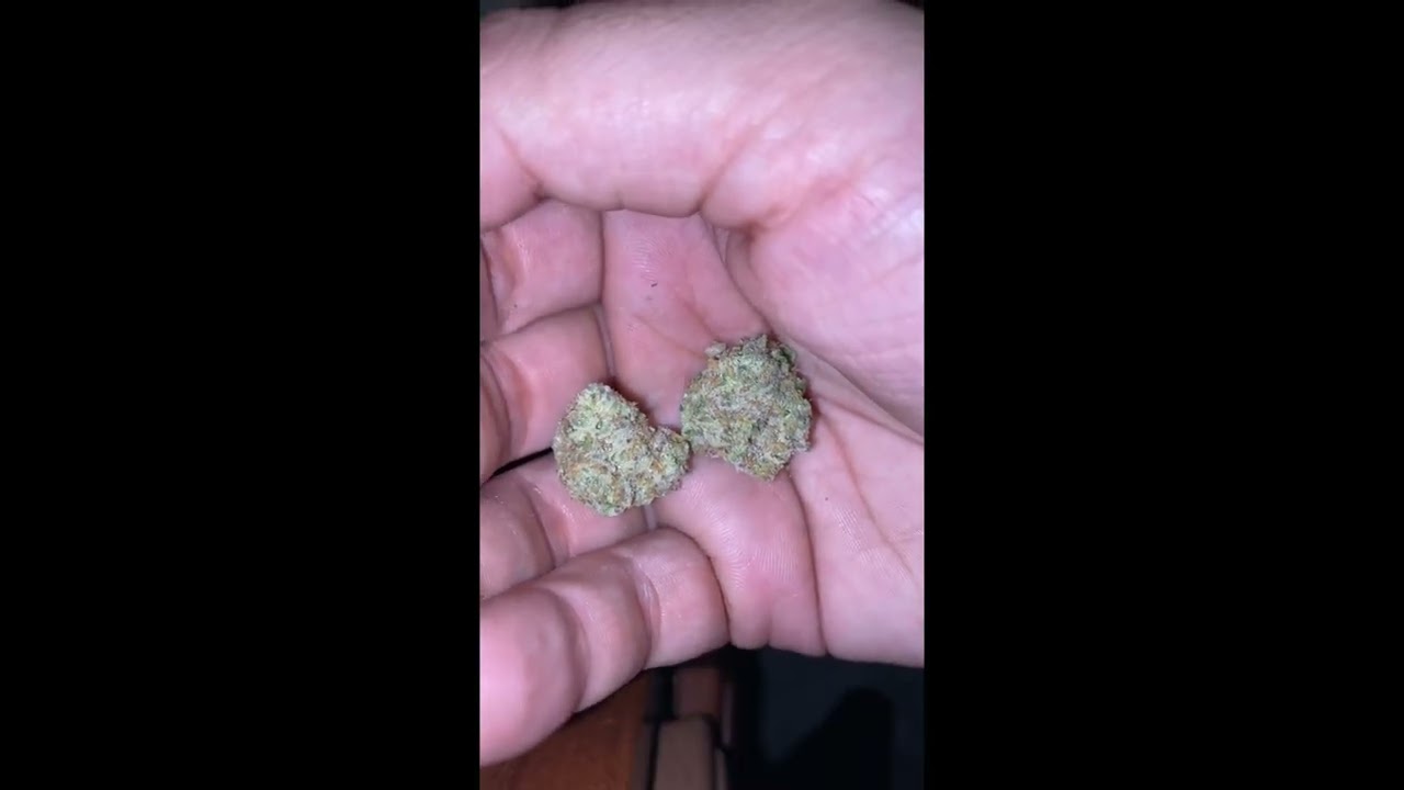 Revolution Gone Swishin Flower Review: More Cookies Genetics in Illinois