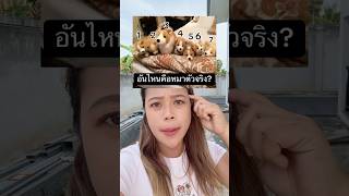 1-7 Which number is the real dog? 🐶 #Try it #Guess it correctly #Please follow #YouTube channel #... 1-7 Which number is the real dog? 🐶 #Try it #Guess it correctly #Please follow #YouTube channel #...
