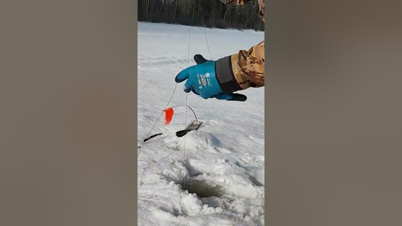 Рыбалка экстрим