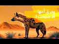 امردة كرفاف الضبع قصص الحيوانات حكايات شعبية حسانية موريتانية